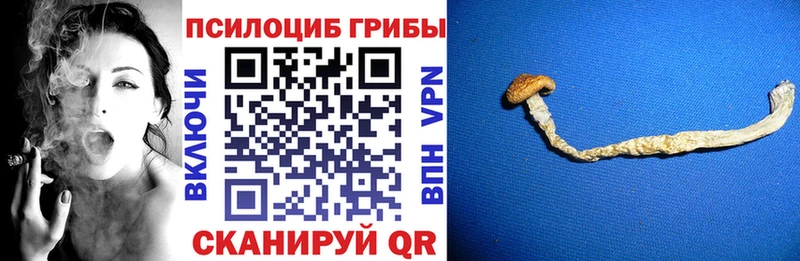 наркота  Кувандык  Псилоцибиновые грибы мухоморы 