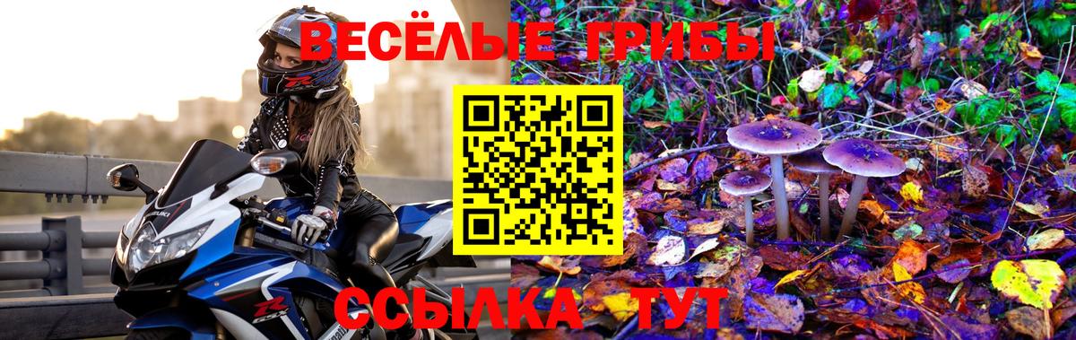 Псилоцибиновые грибы Psilocybine cubensis Кувандык