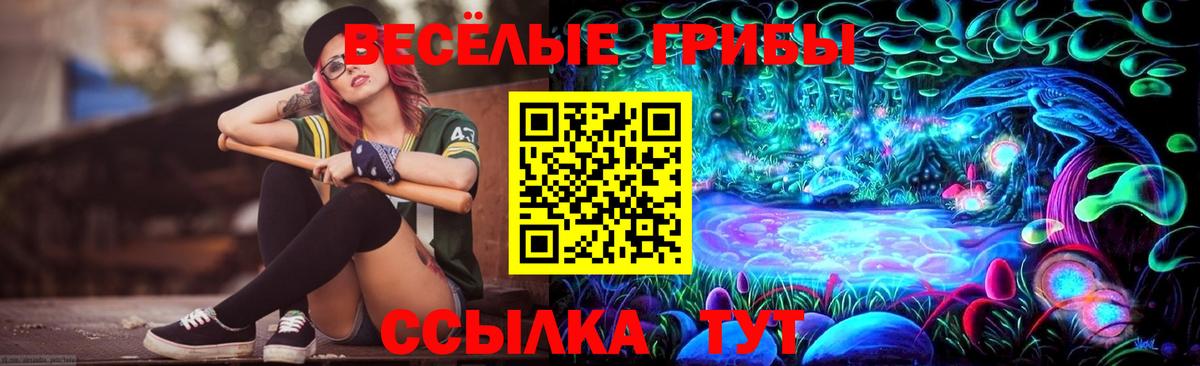 Кувандык  где найти   Вход с VPN  Галлюциногенные грибы мицелий 